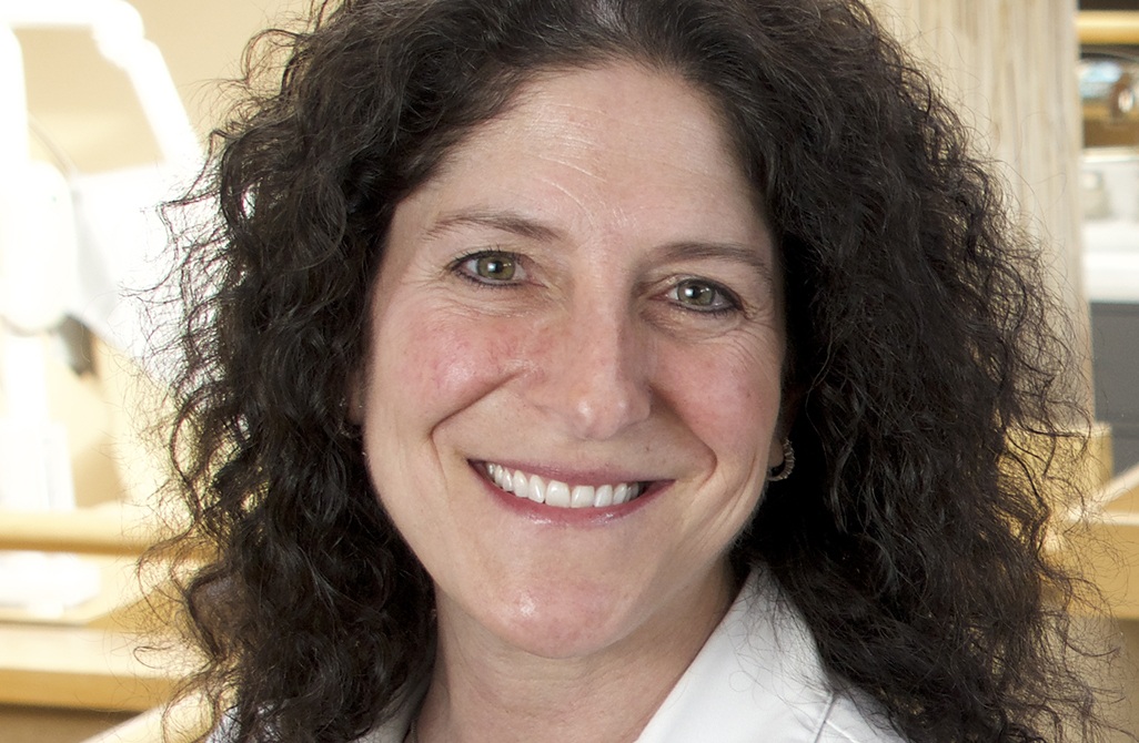 General Dentist, Rebecca L. Cohen