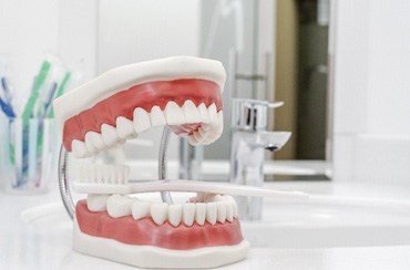 A closeup of model dental implants